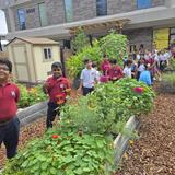 Stratford School Dublin Photo
