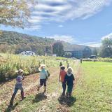 Bovina Center Montessori School Photo #3 - Outdoor fall fun