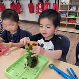 Stratford School San Bruno El Camino Photo #7