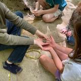 Pace Academy Photo #4 - Embracing the value of outdoor unstructured play, learners spend 1-2 hours outside daily, year-round. This approach supports creativity, boosts physical development, and strengthens their connection to the natural world.