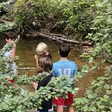 River Farm Forest School Photo #6 - The forest is more than our backdrop-it's an active part of every child's learning journey.