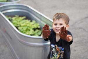 KSS Immersion Schools, Walnut Creek Photo