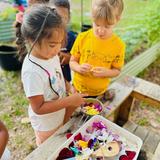 Premier Academy of Temple Terrace Photo #11 - Children in the garden.