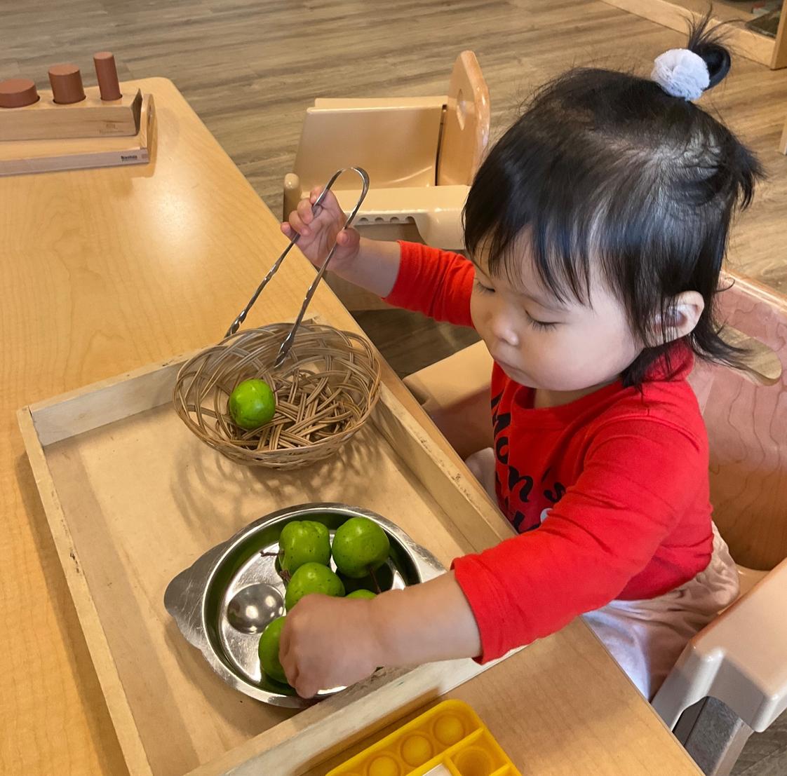 Evergreen Academy Montessori Mountlake Terrace Photo #4