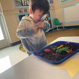 Merryhill School - Roseville Preschool Photo #5
