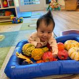 Merryhill School - Pocket Photo #13