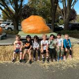 Merryhill School - Pocket Photo #9