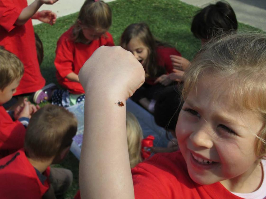 Chesterbrook Academy Preschool Cary Photo #9