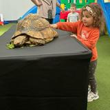 Enchanted Care Learning Center Hilliard 2 Photo #5