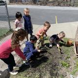 Little Lotus Academy Photo #14 - Prekindergarten gardening
