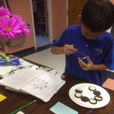 Blessed Star Montessori Christian School Photo #10 - Duplicating the Moon's Phases using Oreo cookies.