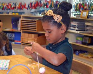 Community Montessori School Civic Photo