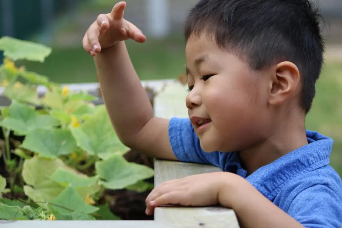 Community School Of Naples (Top Ranked Private School for 2024