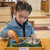 Montessori Children's Academy Photo #3 - A young girl practices focus and coordination in a Montessori classroom, transferring colorful beads with tweezers during a Practical Life activity. This handson exercise strengthens finemotor skills, concentration, and independence-core values of Montessori Children's Academy, where purposeful movement and calm attention nurture confidence and joy in learning.