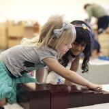 Montessori School Of Fort Myers Photo #4