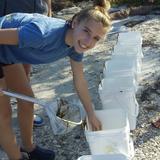Sarasota Christian School Photo - Biology Class Visits Mote Marine