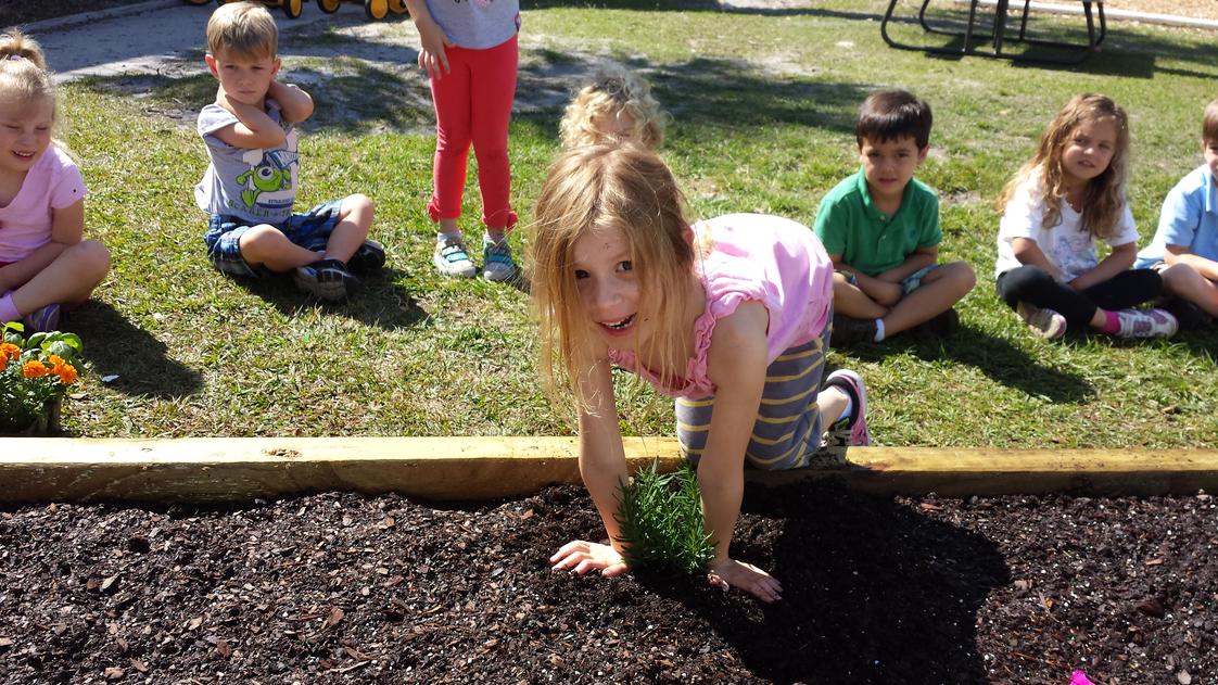 First Discoveries Academy Photo - Eco-Healthy, Nature-Inspired Early Childhood Program, Serving Children Ages 2 to 12