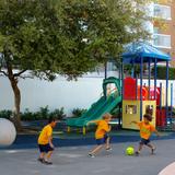 Coconut Grove Montessori School - Main Campus Photo #2