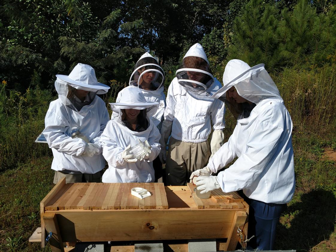 Mount Vernon School Photo - Beekeeping Club