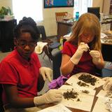Savannah Adventist Christian School Photo #4 - Fifth and sixth graders dissect owl pellets for a hands-on science lesson.