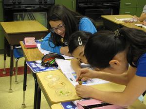 Seigakuin Atlanta International School Photo