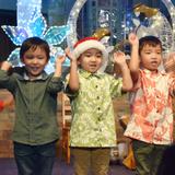 Kaimuki Christian School Photo #4 - Guiding two-year-olds to high school students in a safe, nurturing environment