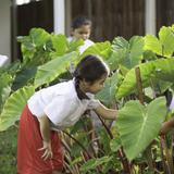 St. Andrew's Schools - The Prep Photo #1