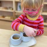 Council Oak Montessori School Photo #3 - Practical Life work in our Children's House classroom.