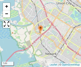 Map of Little Flowers Montessori
