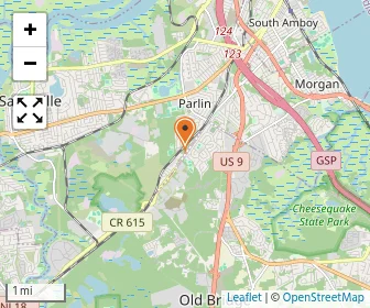 Map of New Road School Of Parlin