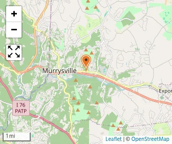 Map of Childrens Learning Ladder