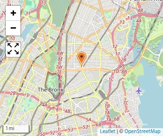 Map of New York Institute For Special Education