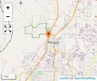 Map of First Baptist Church-pinson