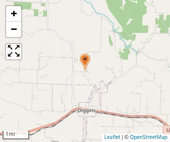 Map of Webster County Parochial #8