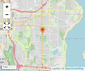 Map of Seattle Voctech